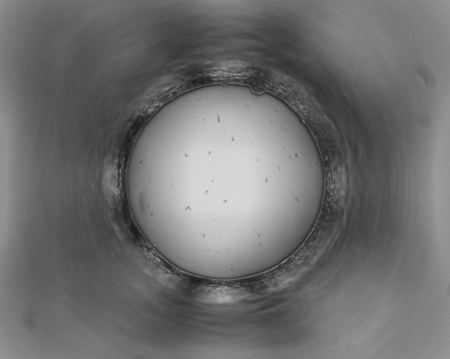 X0000112870755200909041621