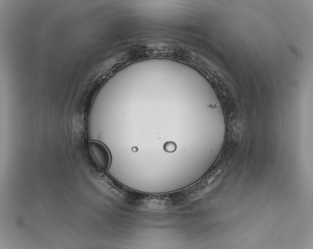 X0000112870756200909041621