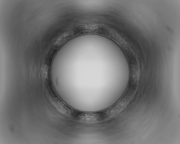 X0000112870758200909041621