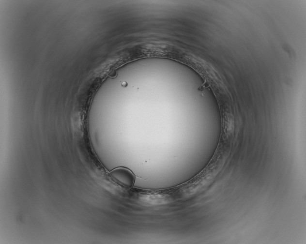 X0000112870759200909041621