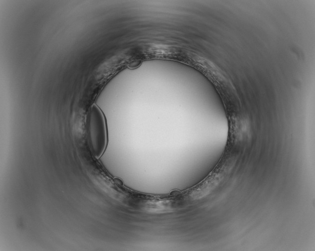 X0000112870760200909041621