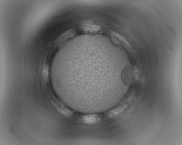 X0000112870761200909041621