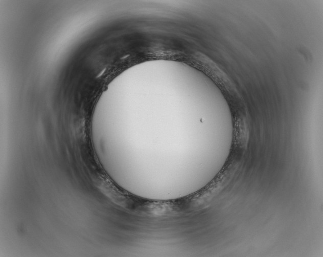 X0000112870762200909041621