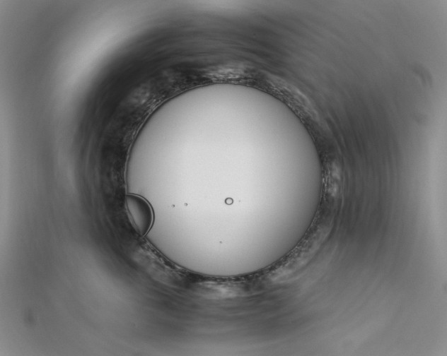 X0000112870763200909041621