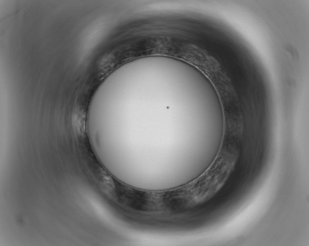 X0000112870766200909041621