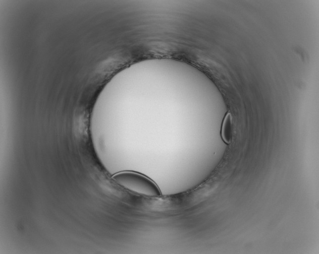 X0000112870768200909041621