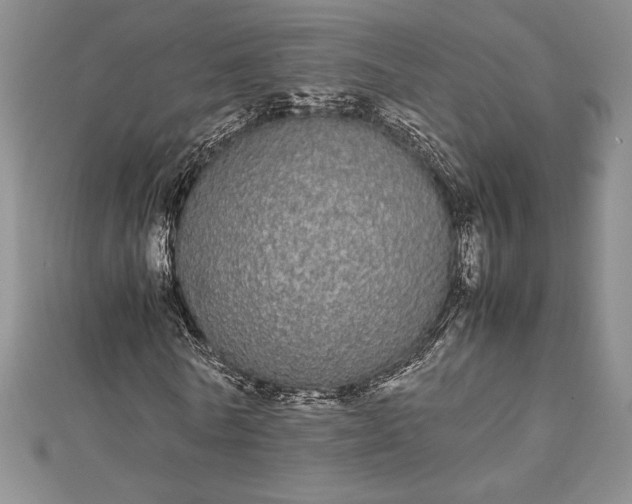 X0000112870770200909041620