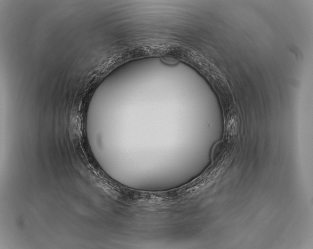 X0000112870772200909041620