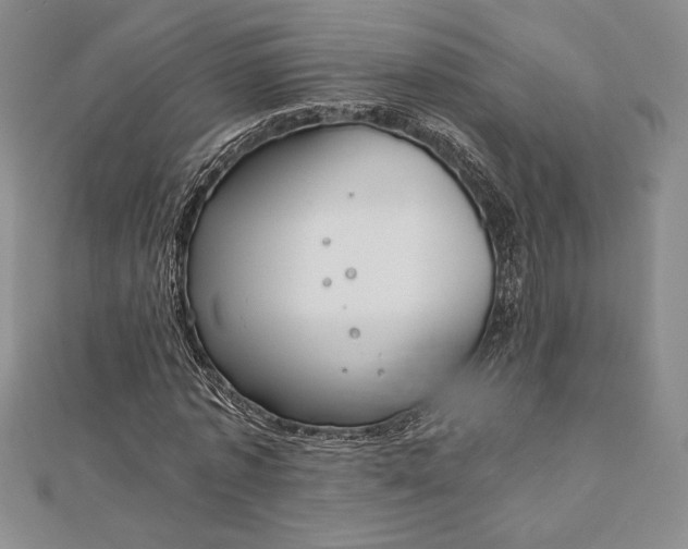 X0000112870773200909041620