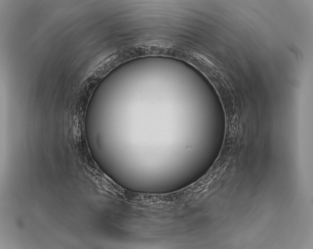 X0000112870774200909041620