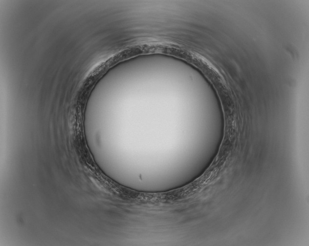 X0000112870775200909041620