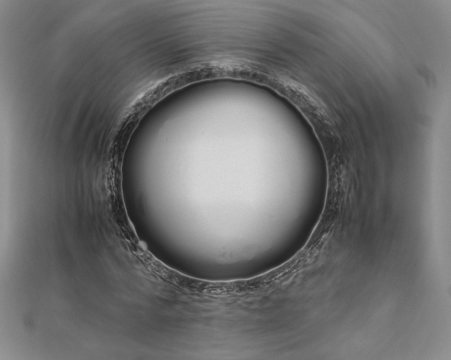 X0000112870776200909041620