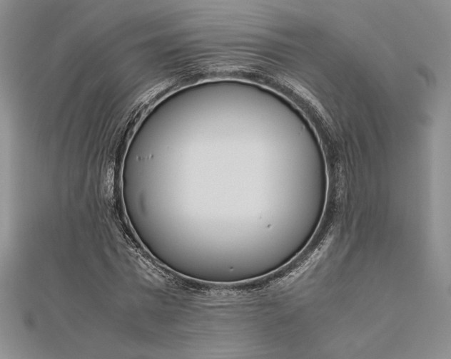 X0000112870777200909041620