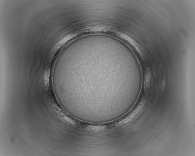 X0000112870778200909041620