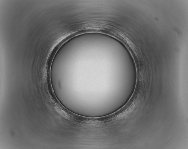 X0000112870779200909041620