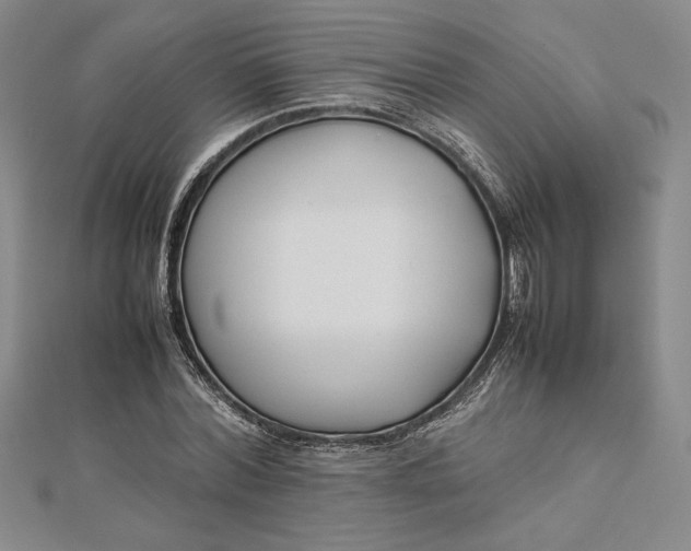 X0000112870780200909041620