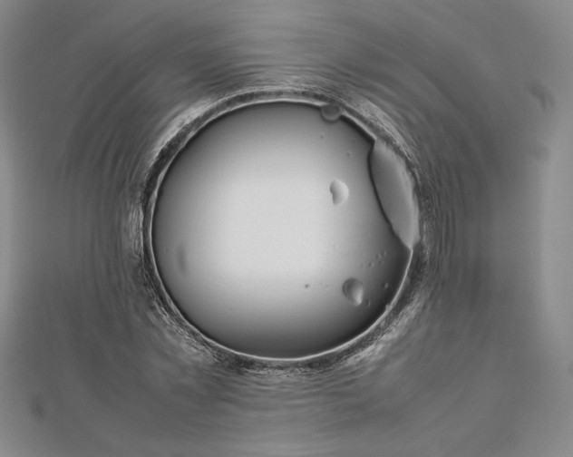 X0000112870781200909041620