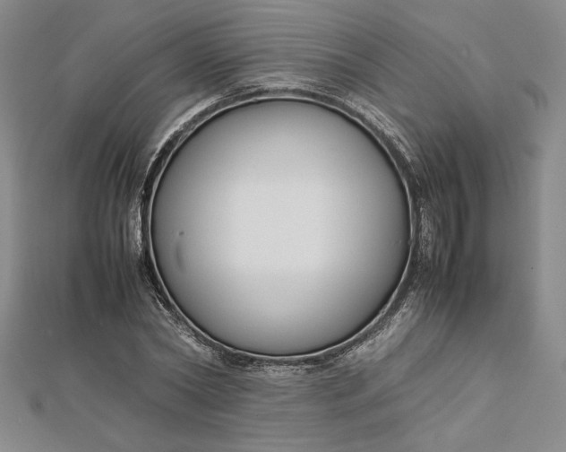 X0000112870782200909041620