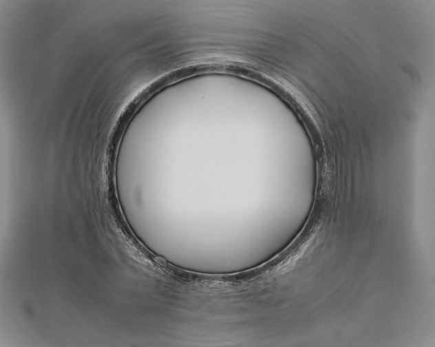 X0000112870783200909041620