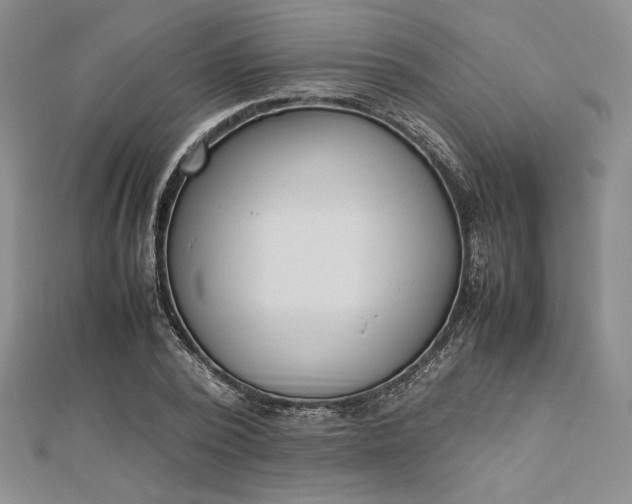 X0000112870784200909041620