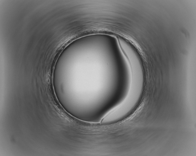 X0000112870785200909041620