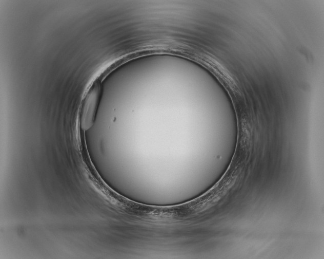 X0000112870788200909041620