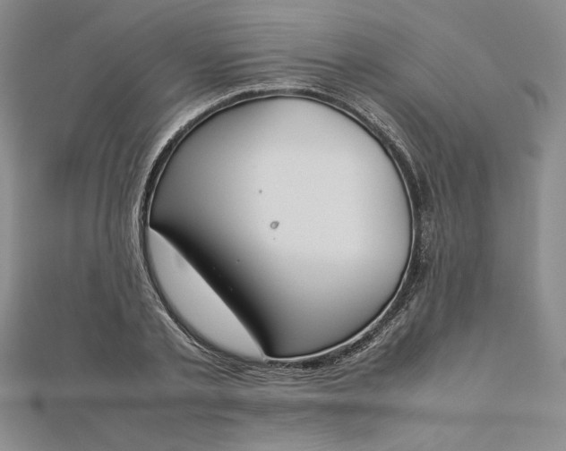 X0000112870789200909041620