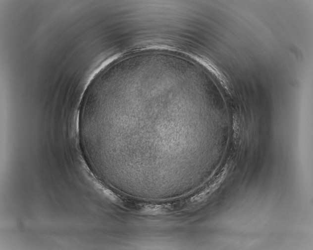 X0000112870790200909041620