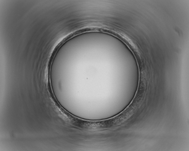 X0000112870791200909041620