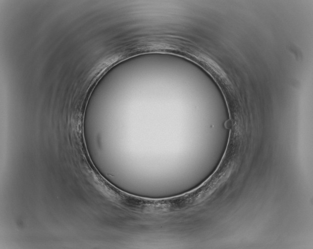 X0000112870793200909041620