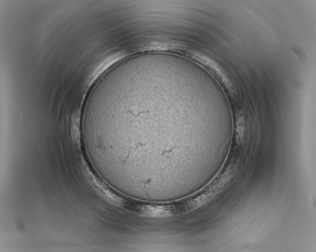 X0000112870794200909041620