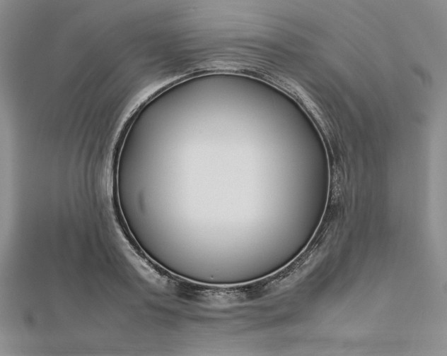 X0000112870795200909041620