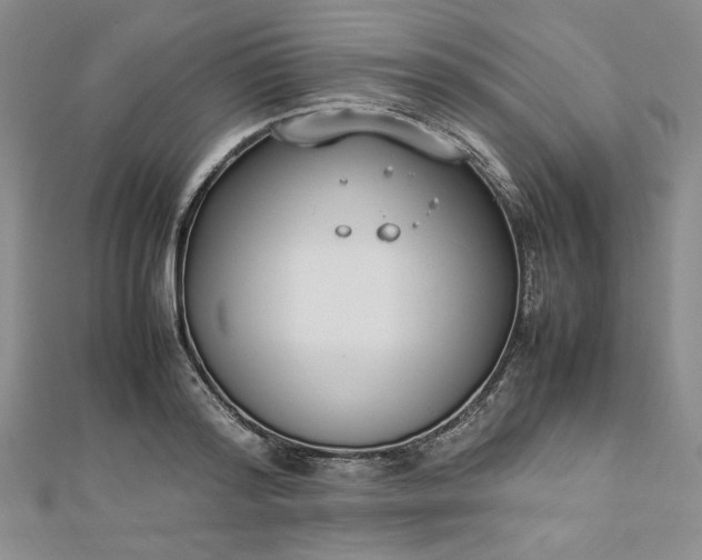 X0000112870796200909041620