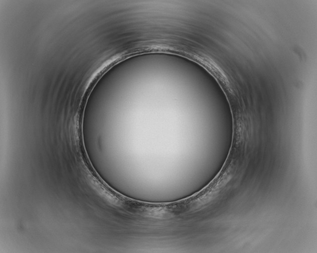 X0000112870798200909041620