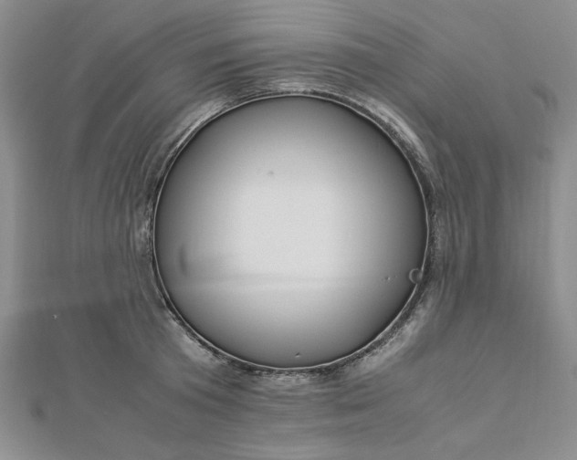 X0000112870801200909041620