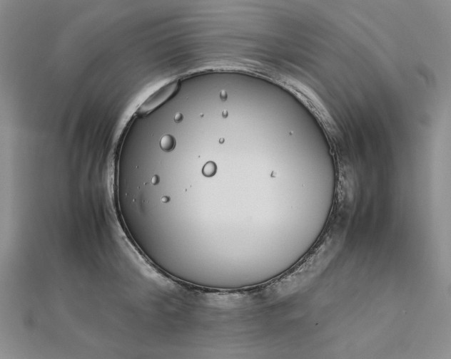 X0000112870804200909041620