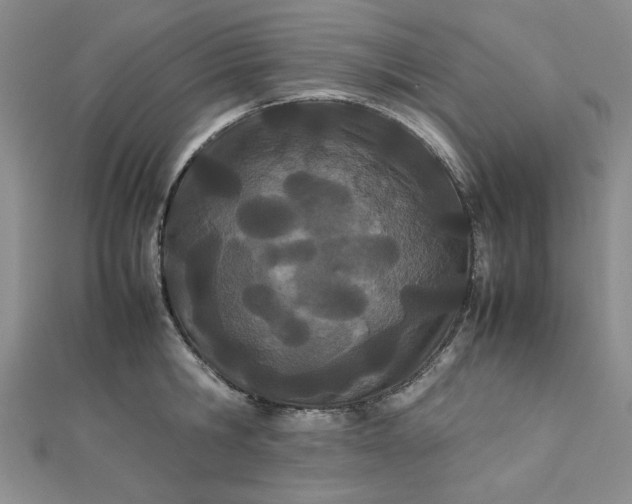 X0000112870806200909041620