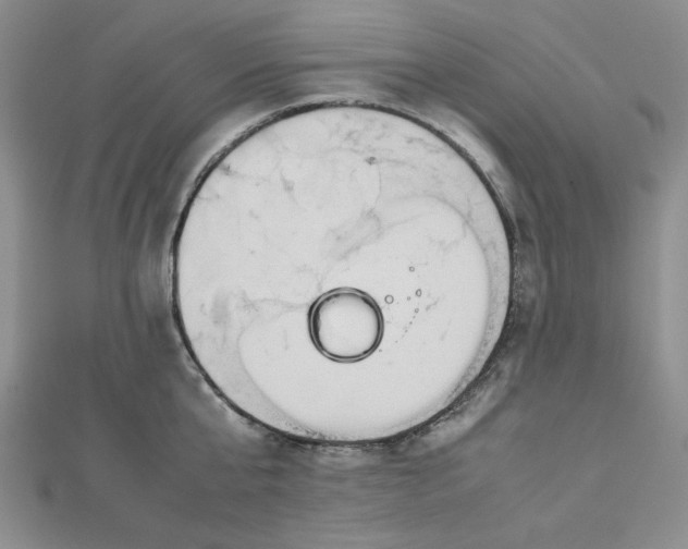 X0000112870807200909041620