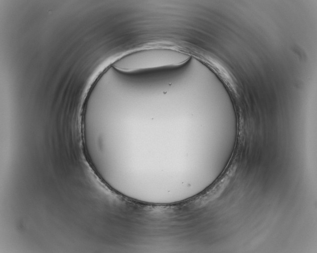 X0000112870808200909041620