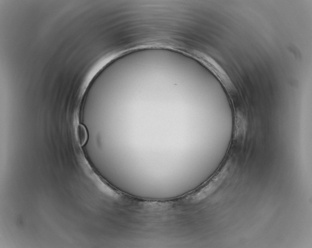 X0000112870812200909041620