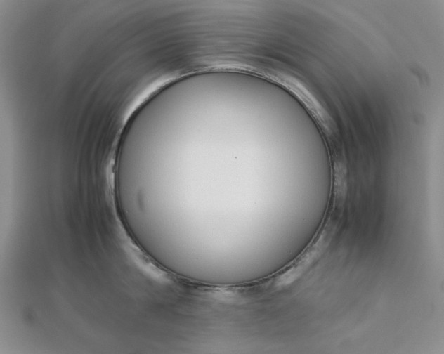 X0000112870814200909041620