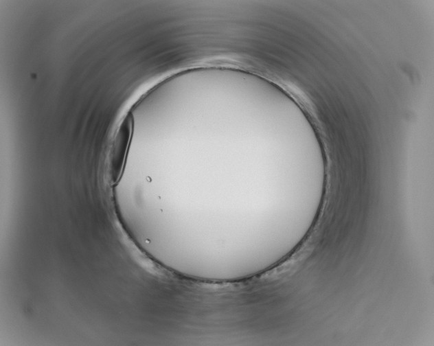 X0000112870816200909041620