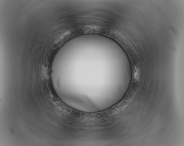 X0000112870819200909041619