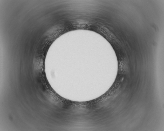 X0000112870820200909041619