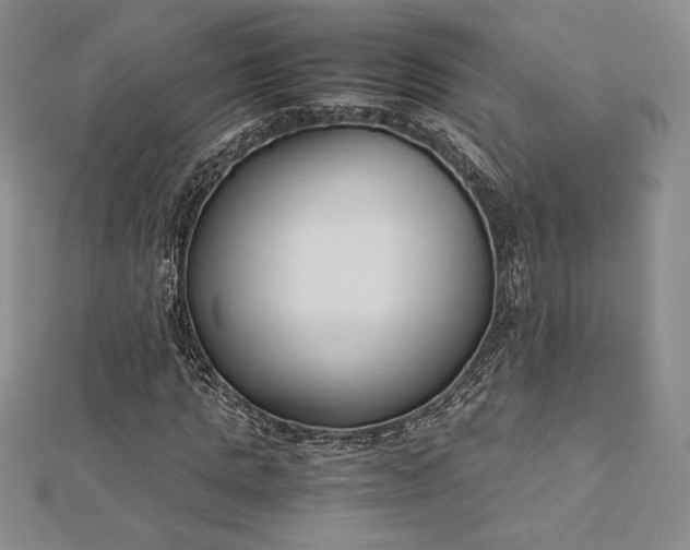 X0000112870821200909041619