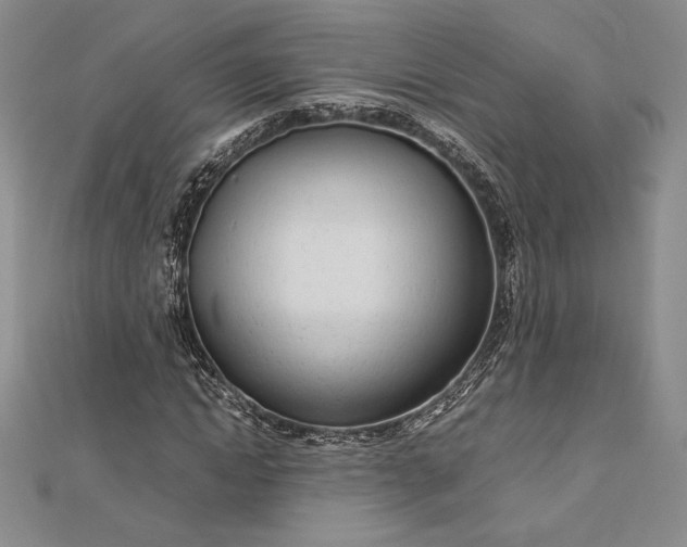 X0000112870822200909041619