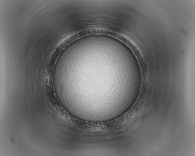 X0000112870823200909041619