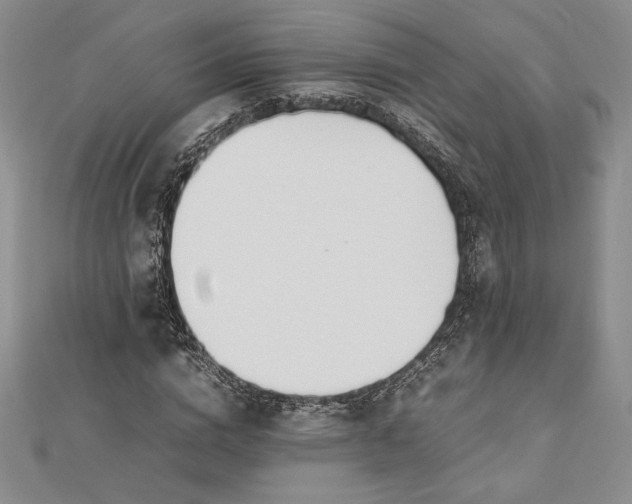 X0000112870824200909041619