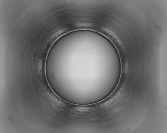 X0000112870825200909041619