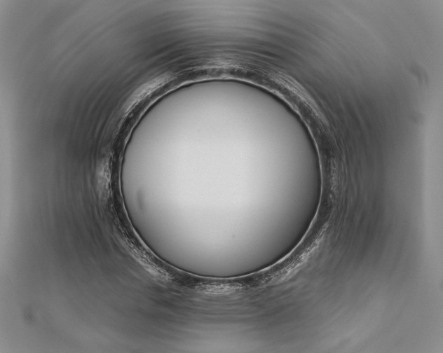 X0000112870826200909041619